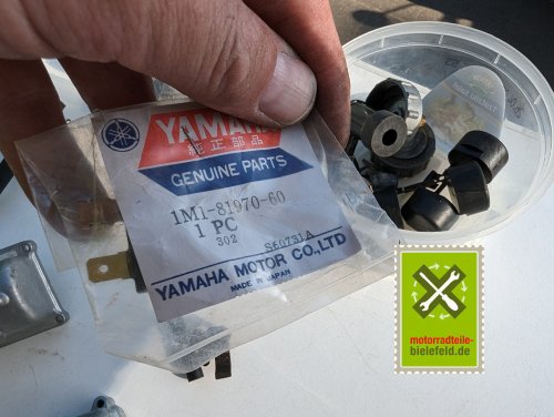 PXL_20240517_155807476